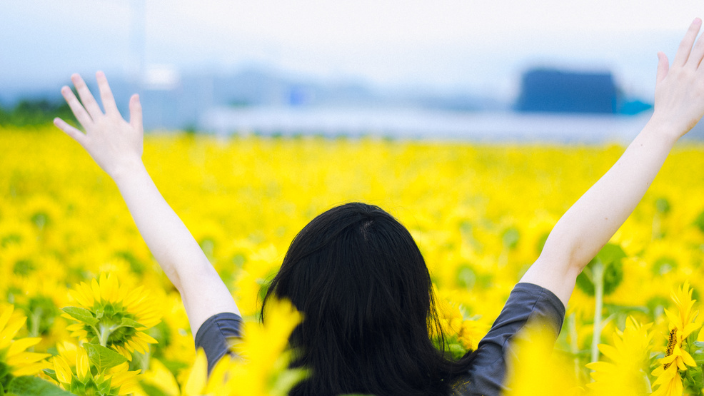  Japanese Girl Both Her Arms Up at the Sunflower Field 